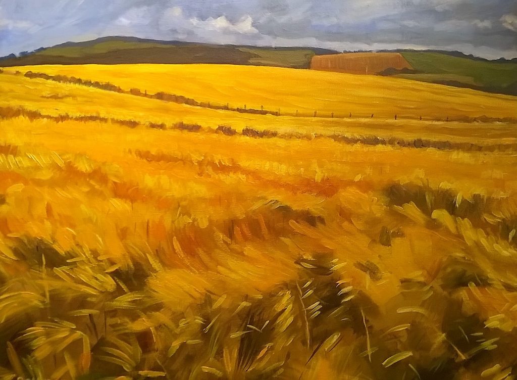Fields of Gold by Stephen Murray
